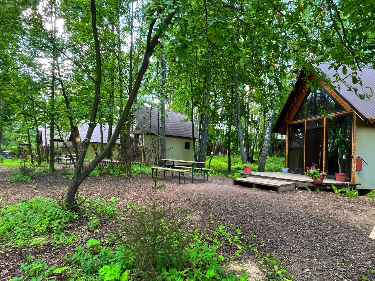 Глэмпинг Ёжик в тумане